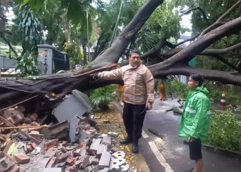 Pemotongan Pohon Tumbang Usai Hujan di Sertai Angin Jalan Situbondo No. 34 Menteng