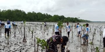 Lanal Bintan Bersama SMA Tunas Bangsa Lagoi Peduli Lingkungan Dengan Menanam 10.000 Pohon Mangrove