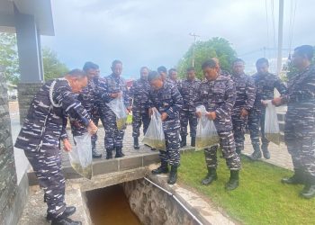 Danlanal Bintan Tabur Bibit Ikan Nila Untuk Mengurangi Pertumbuhan Jentik Nyamuk di Lingkungan Sekitar