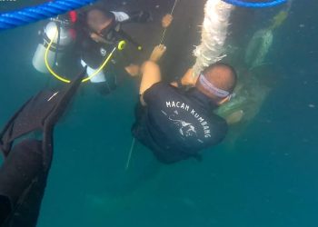 Aksi Cepat Lanal Tual Selamatkan KM. Labobar Yang Alami Kendala Propellershaft Terbelit Tali