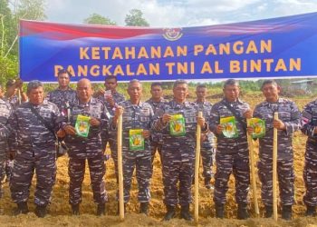 Lanal Bintan Perkuat Ketahanan Pangan Lewat Penanaman Jagung Sebagai Wujud Nyata Program Asta Cita