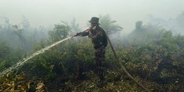 Gerak Cepat, Pos TNI Angkatan Laut Tanjung Datuk Bersama Tim Satgas Penanggulangan Karhutla Berhasil Padamkan Kebakaran Lahan Gambut