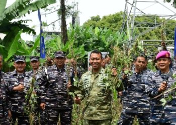 Pangkalan TNI Angkatan Laut Bandung Gelar Panen Raya Kacang Kedelai Secara Serentak oleh TNI AL